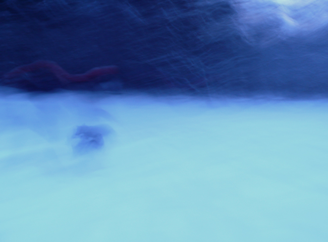L1050139 L1050139